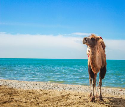 西宁+青海湖+茶卡盐湖+德令哈+敦煌+嘉峪关+张掖7日6晚私家团