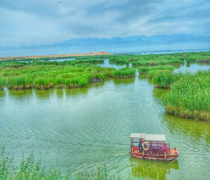 宁夏石嘴山沙湖生态旅游区+银川镇北堡西部影城一日游【慢享时光+上门接送+赠沙湖大船】线路推荐