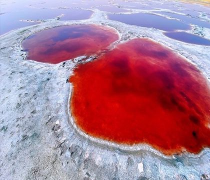 宁夏银川+中卫沙坡头+甘肃黄河石林国家地质公园7日6晚私家团